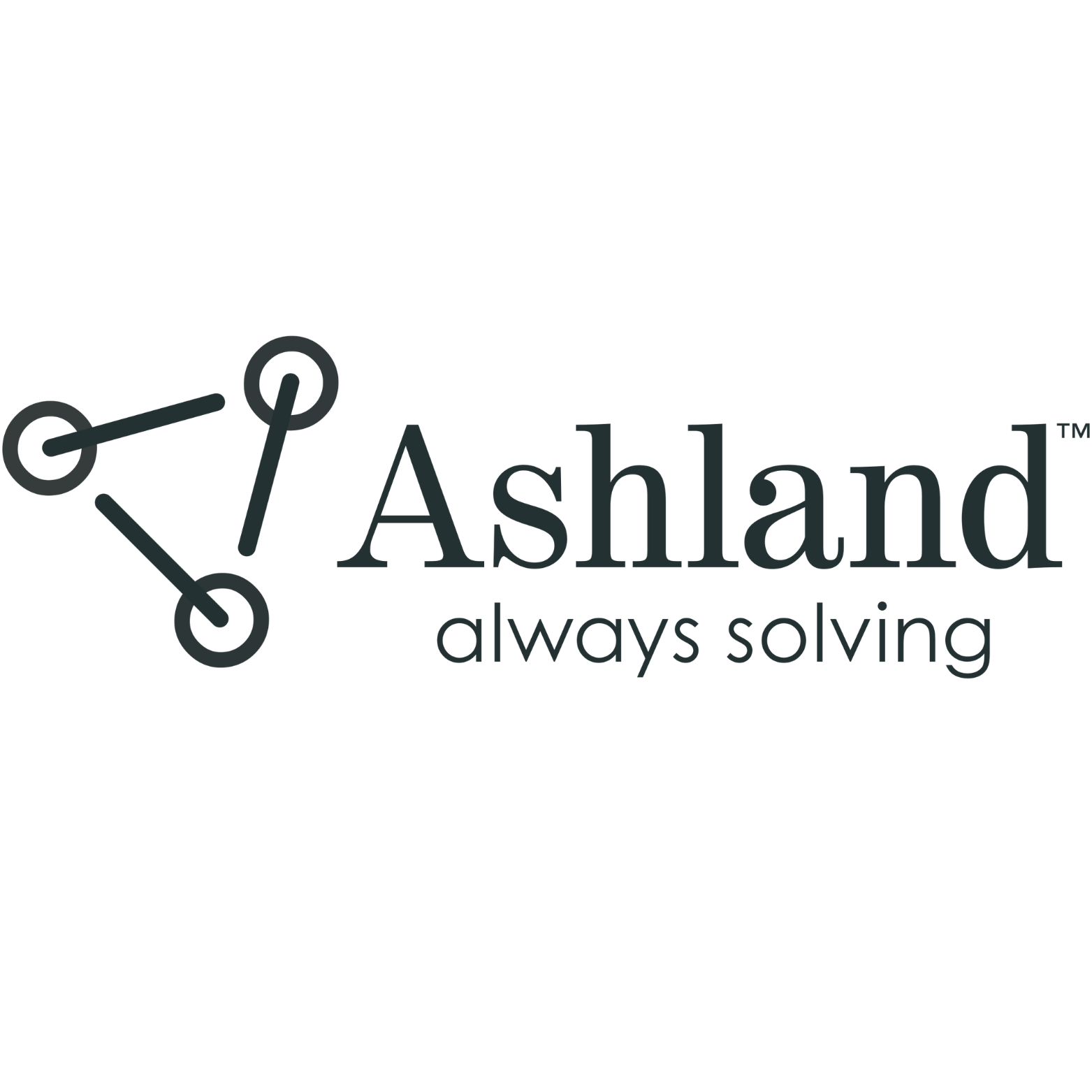 Client Logo 3