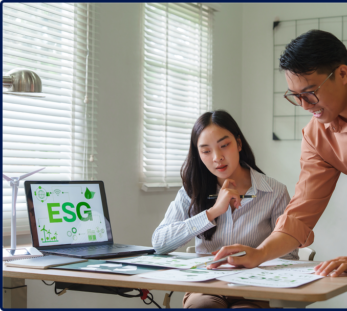 ESG Consulting