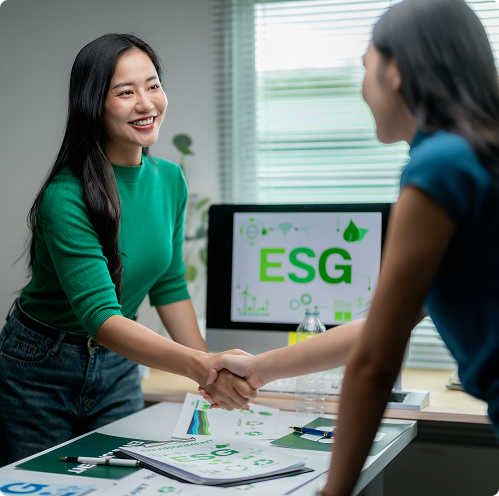 ESG Consulting